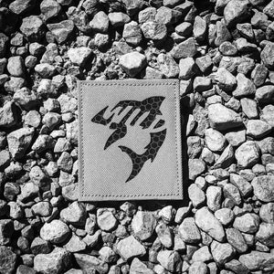 Wild Shark MYSTERY color
